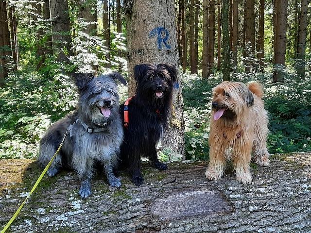Gemischtes (4)